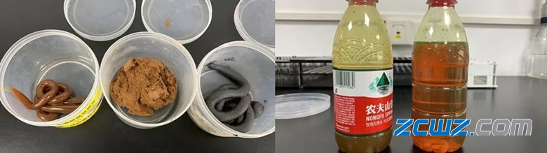 盾构机主轴承密封损坏故障分析
